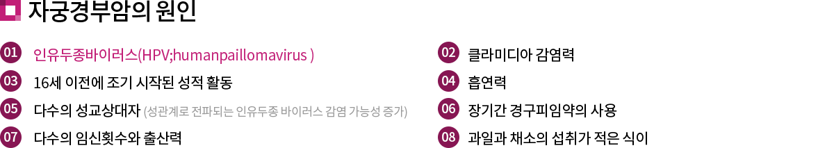 ڱðξ  : (01) ̷(HPV;humanpaillomavirus ) (02) Ŭ̵  (03) 16   ۵  Ȱ (04)  (05) ټ ϱ( ĵǴ  ̷  ɼ ) (06) Ⱓ 汸Ӿ  (07) ټ ӽȽ  (08) ϰ ä 밡  
